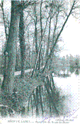 ND 160.jpg
